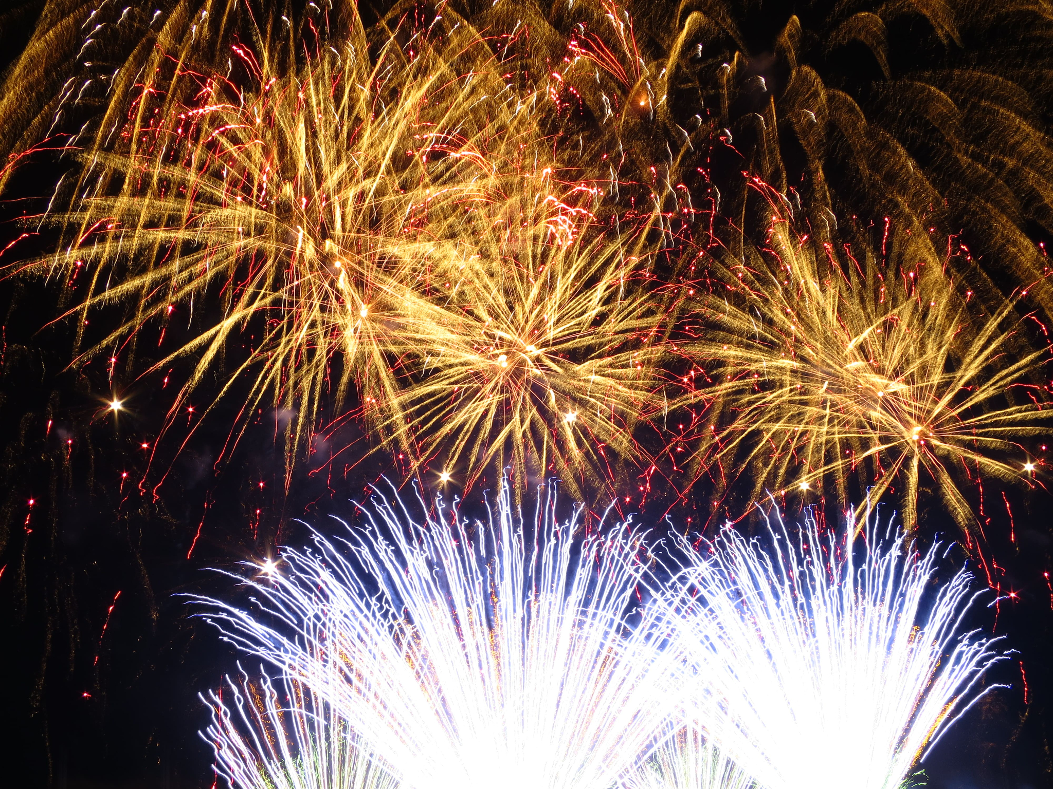 Pyronale in Berlin 21